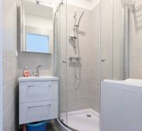 Bathroom with a sink, shower, and storage space in a 2-room apartment.