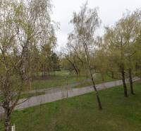 Park with trees and pathways in Bratislava - Ružinov on Planets.