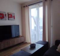 Living room with wood-patterned flooring, television, and couch, 2-room apartment.
