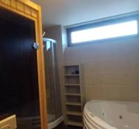 A bathroom in a 2-room apartment with a sauna, shower, and jacuzzi.