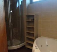 Bathroom with a shower, corner bathtub, and floor with wood decor in a 2-room apartment.