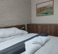 Bedroom in a 2-room apartment with a bed and a wardrobe, floor with wooden decor.