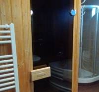 Sauna and shower in the bathroom of a 2-room apartment with a wooden decor floor.