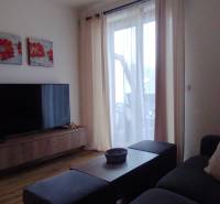 Living room with a television, wooden decor flooring, and a comfortable couch in a two-room apartment.