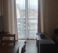 Living room in a two-room apartment with a wooden decor floor and a French window.