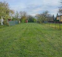A garden in Michalovce by a family house with mowed lawn and trees.
