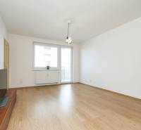 Living room in a two-room apartment with a wooden decor floor and a television.