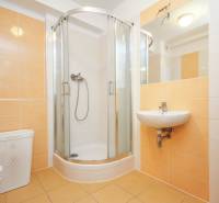 Bathroom with a sink, shower, and washing machine in a 2-room apartment.