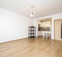 2-room apartment with wood-patterned flooring and a kitchen with white furniture.