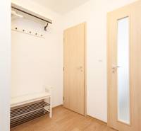 A simple hallway in a 2-room apartment with a wooden decor floor and a coat rack.