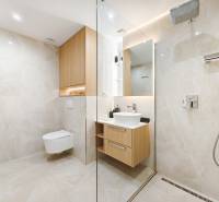 Bathroom in a 2-room apartment with a walk-in shower, white sink, and wooden cabinets.