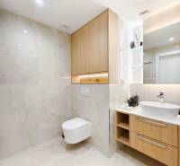 Bathroom with wood-patterned flooring in a 2-room apartment, light tiles and a wall-hung toilet.