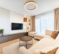 Living room in a 2-room apartment with a sofa, television, and a wooden decor floor.