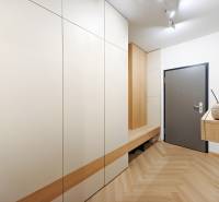 Entrance hallway with wood-patterned flooring in a 2-room apartment with white cabinets.
