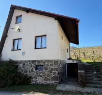 A cottage in Zlaté Moravce with a stone foundation and a vineyard on a slope.