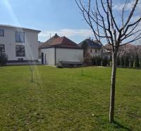 Garden at a 3-room apartment on Gábora Steinera Street, Trnava, with young trees.