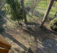 In Úľany nad Žitavou, there is a garden with paving and trees near the cottage.