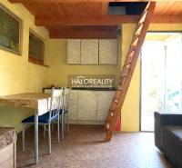 Interior of a cabin with a wooden ceiling, ladder, and floor with a wooden decor.