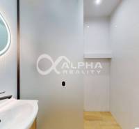 Bathroom with an oval mirror, glass wall, and floor with wooden decor in a studio apartment.