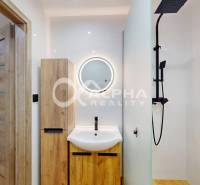 Bathroom in a studio apartment with wood-patterned flooring and a shower corner.