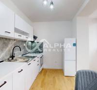 A kitchen with white cabinets, wood-patterned flooring, and a view in a studio apartment.