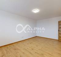 Empty room with wood-patterned flooring and wooden doors in a studio apartment.