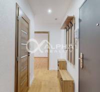 Entrance hall of a one-room apartment with wood-patterned flooring and storage spaces.