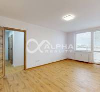 An empty room with a wooden decor floor and a large window in a studio apartment.