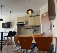 Kitchen and dining area in a studio apartment with wood-patterned flooring.