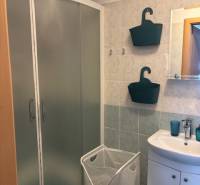 Bathroom in a studio apartment with a corner shower and white accessories.