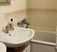 Bathroom with shower and sink in a 3-room apartment.