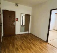 Entrance hallway with a mirror and a wooden decor floor in a 3-room apartment.