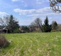 Greenery on the plots - living in Marianka on Budovateľská Street surrounded by trees and nearby houses.