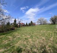 A garden with a grassy area and fruit trees in Marianka on Budovateľská, suitable for residential land.