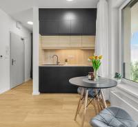 A kitchen with gray cabinets and a wood-patterned floor in a studio apartment.