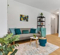 A bright living space in a studio apartment with a sofa and a plant, wooden decor flooring.