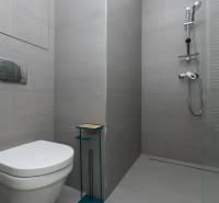 Bathroom with toilet and shower in a studio apartment.