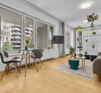 Living room of a one-bedroom apartment with large windows, wood-patterned flooring, and plants.