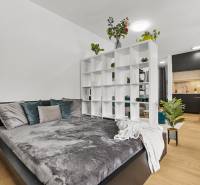 1-bedroom apartment with a bed, a shelf, wood-patterned flooring, and a black kitchen.