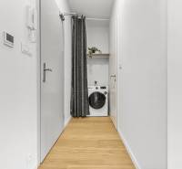 A narrow hallway in a one-room apartment with a curtain and a washing machine.