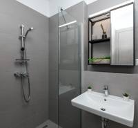 Gray bathroom with a shower, sink, and large mirror in a studio apartment.
