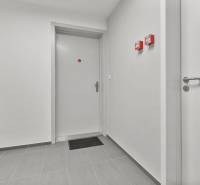 Hallway with doors, light gray walls, and tiles in a studio apartment.