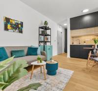 Living room with a couch, decorative pillows, and a wooden-patterned floor in a studio apartment.