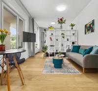 Bright 1-room apartment with wood-patterned flooring, a sofa, and a dining area.