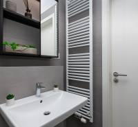 A bathroom in a studio apartment with a sink, ladder radiator, and storage shelves.
