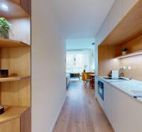 A kitchen in a studio apartment with shelves and a wooden decor floor.