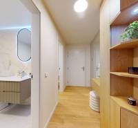 Bathroom with a washing machine and a sink, entrance hallway with wooden decor in a studio apartment.