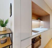 A kitchen in a studio apartment with built-in appliances and a shelf with a plant.