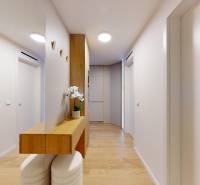 A hallway in a one-room apartment with white walls and a floor with a wood decor.