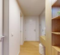 A hallway in a one-room apartment with white doors and a wooden-patterned floor.